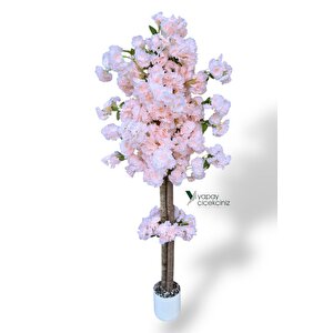 Beyaz Renkli Saksıda 150 Cm Yapay Bahardalı Ağacı Yoğun Yaprak Kavun