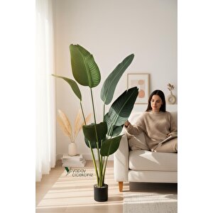 Yapay Ağaç Starliçe Lüks Gerçek Dokulu 8 Dallı İri Büyük Yaprak 155 160 Cm