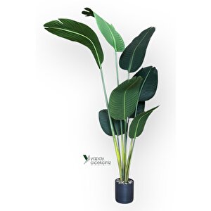 Yapay Ağaç Starliçe Lüks Gerçek Dokulu 8 Dallı İri Büyük Yaprak 155 160 Cm