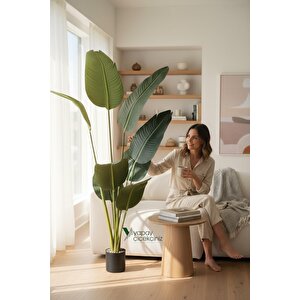 Yapay Ağaç Starliçe Lüks Gerçek Dokulu 8 Dallı İri Büyük Yaprak 155 160 Cm