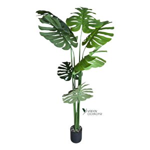 150 Cm 7 Dallı Islak Dokulu İri Yapraklı Lüks Yapay Monstera Deve Tabanı Ağacı