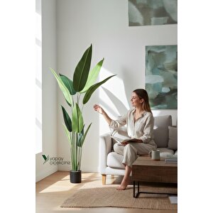 180 Cm Boyunda 14 Dallı Lüks Yoğun Starliçe Ağacı