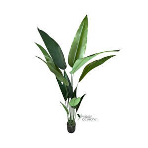 180 Cm Boyunda 14 Dallı Lüks Yoğun Starliçe Ağacı