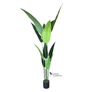 180 Cm Boyunda 14 Dallı Lüks Yoğun Starliçe Ağacı