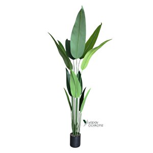 180 Cm Boyunda 14 Dallı Lüks Yoğun Starliçe Ağacı