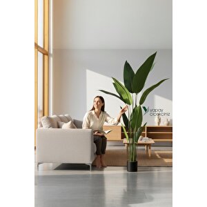 180 Cm Boyunda 14 Dallı Lüks Yoğun Starliçe Ağacı