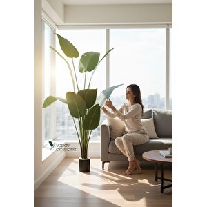 12 Dallı 195 Cm Dokulu İri Yapraklı Lüks Starliçe Ağacı