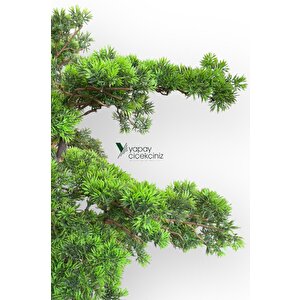 Modern Küre Saksıda 180 Cm Yoğun Yapraklı Lüks Bonzai Bonsai Ağacı