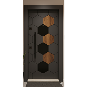 Eli̇t Seri̇si̇ Elegance Güvenli̇k Kapisi Çeli̇k Kapi, Vi̇lla Kapisi