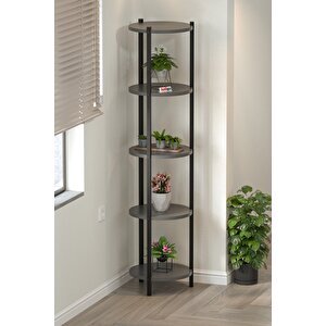 5 Raflı Çiçeklik Rafı Saksılık Standı Dekoratif Aksesuar Rafı Saksılık Lale Antrasit