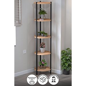 5 Raflı Çiçeklik Rafı Saksılık Standı Dekoratif Aksesuar Rafı Saksılık Lale Çam