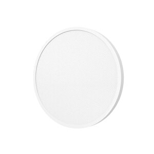 Smart Ceiling Light D30 Tavan Lambası