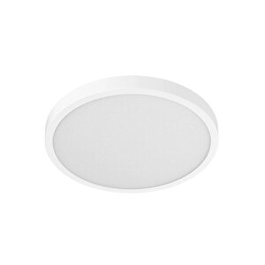 Smart Ceiling Light D40 Tavan Lambası