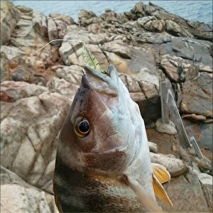 Valkyrie 12 Adet Fosforlu Kancalı Silikon Karides Olta Yem Sahte Yapay İğneli Balık Yemi Sarı