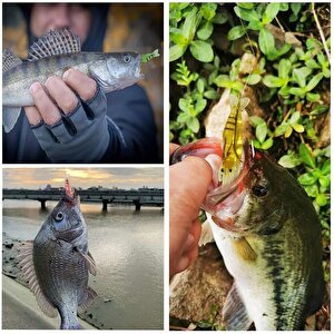 Valkyrie 12 Adet Fosforlu Kancalı Silikon Karides Olta Yem Sahte Yapay İğneli Balık Yemi Beyaz