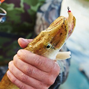 Valkyrie 100 Parça Kutulu İğneli Yumuşak Silikon Kurtçuk Olta Balık Yemi - 4 Renk