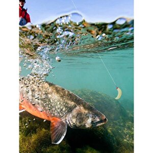 Valkyrie 100 Parça Kutulu İğneli Yumuşak Silikon Kurtçuk Olta Balık Yemi - 4 Renk