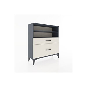 Arges Şifonyer 2 Raflı 2 Çekmeceli 88x30x96 Antrasit-aytaşı