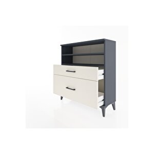 Arges Şifonyer 2 Raflı 2 Çekmeceli 88x30x96 Antrasit-aytaşı