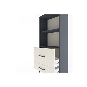 Arges Dolap 2 Raflı 2 Çekmeceli 60x30x134 Antrasit-aytaşı