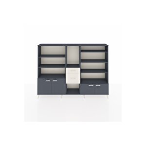 Arges Dolap 10 Raflı 2 Çekmeceli 4 Kapaklı 220x30x163 Antrasit-antrasit/aytaşı