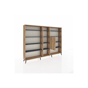 Arges Dolap 12 Raflı Tek Kapaklı  220x30x163 Çam-çam/antrasit