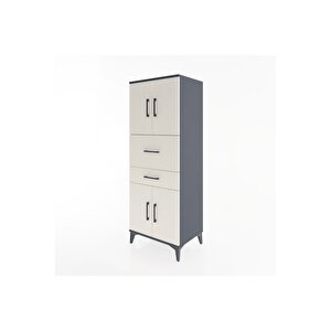 Hyperion Dolap 3 Raflı 2 Çekmeceli 4 Kapaklı 60x44x163 Antrasit-aytaşı