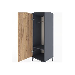 Hyperion Dolap Tek Raflı Tek Kapaklı Tek Askılı 44x44x134 Antrasit-çam