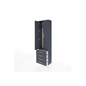 Arges Dolap 2 Raflı 4 Çekmeceli Tek Askılı 60x30x221 Antrasit-antrasit