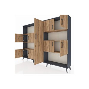 Arges Dolap 10 Raflı 9 Kapaklı 220x30x163 Antrasit-çam