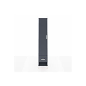 Hyperion Dolap 3 Raflı Tek Çekmeceli Tek Askılı 44x44x243 Antrasit-antrasit