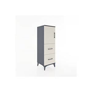 Hyperion Dolap 2 Raflı 2 Çekmeceli Tek Kapaklı 44x44x134 Antrasit-aytaşı