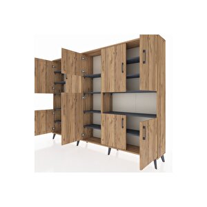 Arges Dolap 14 Raflı 10 Kapaklı 220x30x163 Çam-çam/antrasit