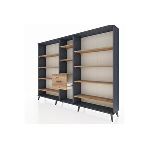 Arges Dolap 11 Raflı 3 Çekmeceli  220x30x163 Antrasit-çam