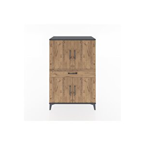 Hyperion Dolap 3 Raflı Tek Çekmeceli 4 Kapaklı 88x44x134 Antrasit-çam