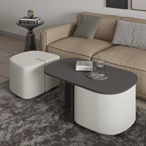 Twin Puflu Orta Sehpa – İkili Puf Saklama Alanlı Ve Modern Tasarım, Antrasit Antrasit