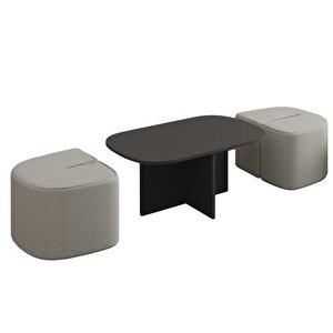 Twin Puflu Orta Sehpa – İkili Puf Saklama Alanlı Ve Modern Tasarım, Antrasit Antrasit