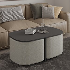 Twin Puflu Orta Sehpa – İkili Puf Saklama Alanlı Ve Modern Tasarım, Antrasit Antrasit