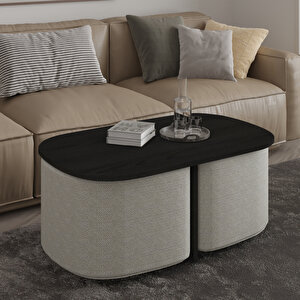 Twin Puflu Orta Sehpa – İkili Puf Saklama Alanlı Ve Modern Tasarım, Ahşap Siyah Siyah