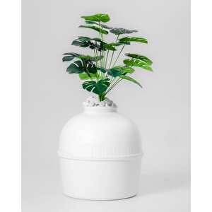 Reyo Dekorapet Dekoratif Kedi Tuvaleti Beyaz