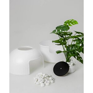 Reyo Dekorapet Dekoratif Kedi Tuvaleti Beyaz