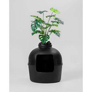 Reyo Dekorapet Dekoratif Kedi Tuvaleti Siyah