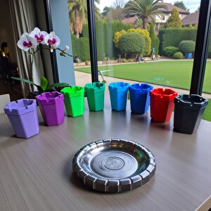 Kokusuz Küllük 2'li