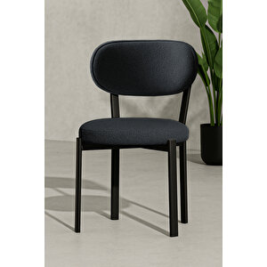 Vivo Serisi 2 Adet Metal Ayaklı Tedy Kumaş Sandalye (antrasit) Antrasit