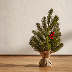 Christmas Yılbaşı Ağacı Yeşil (35 Cm) Yeşil