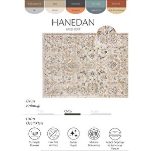 Hanedan Krem Klasik Desenli Çiçekli Otantik Halı Bohem Vintage Oturma Odası Salon Halısı 200x300 cm