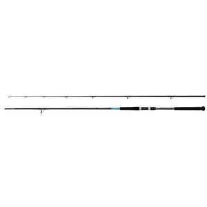 Kamış Bassterra Xt Shore Jigging 9'6" 20-80g