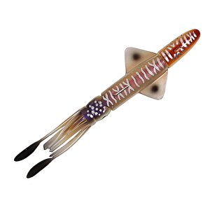 Calamari 20cm 150gr Kalamar Silikon Yem Cuttle