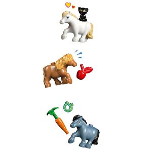 Friends Midilli Çiftliği Ve Ahır 42654