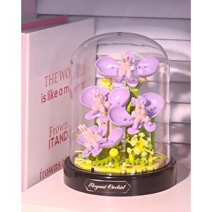 Ctoy Fanuslu Çiçek Serisi Orkide Lego Seti 16345